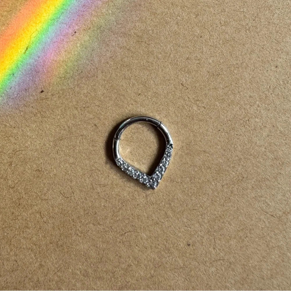 Septum ring - Picture 1 of 1